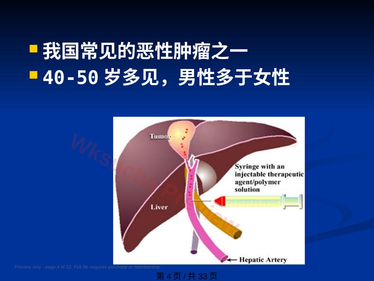 预览第 4 页