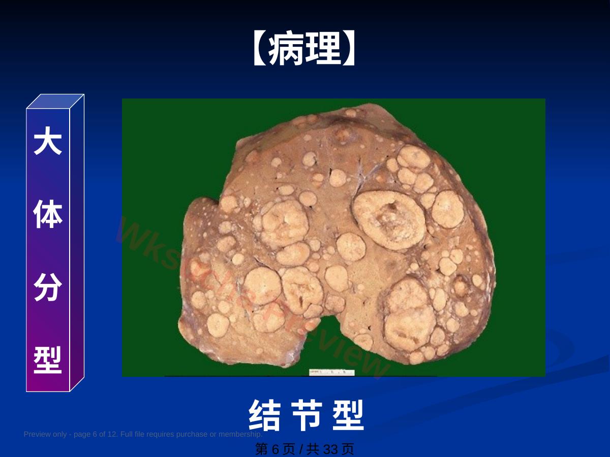 预览第 6 页
