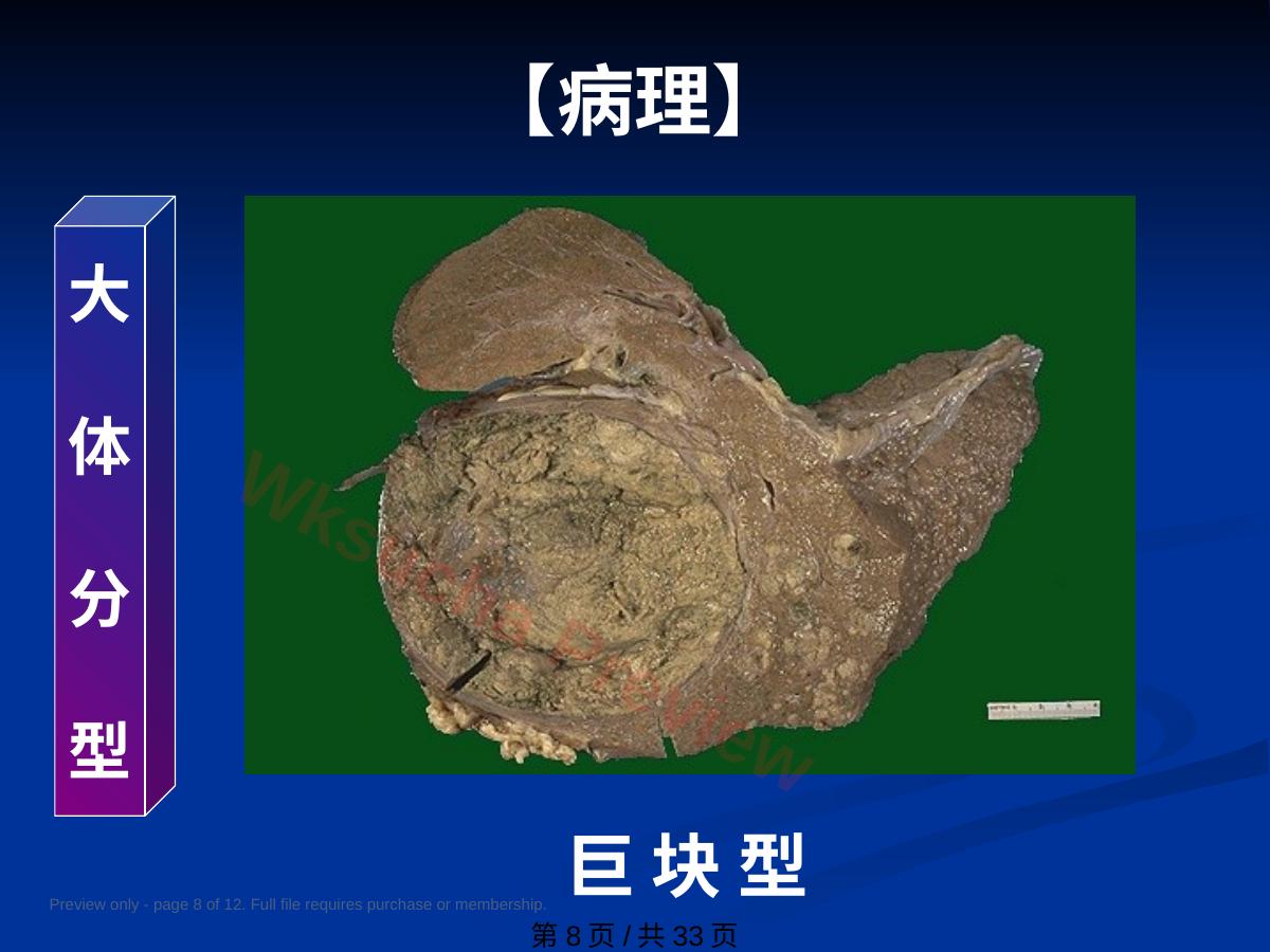 预览第 8 页
