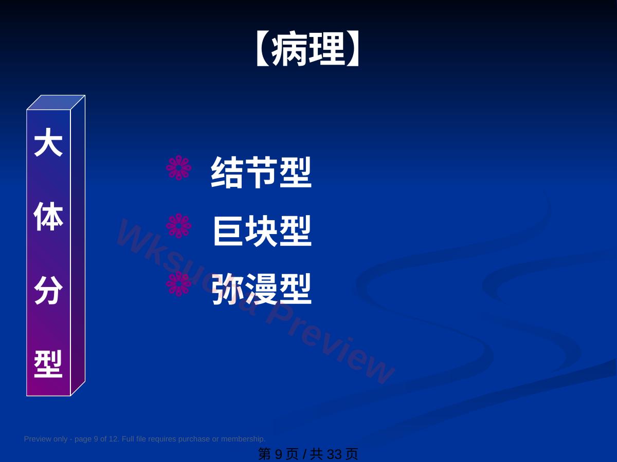 预览第 9 页