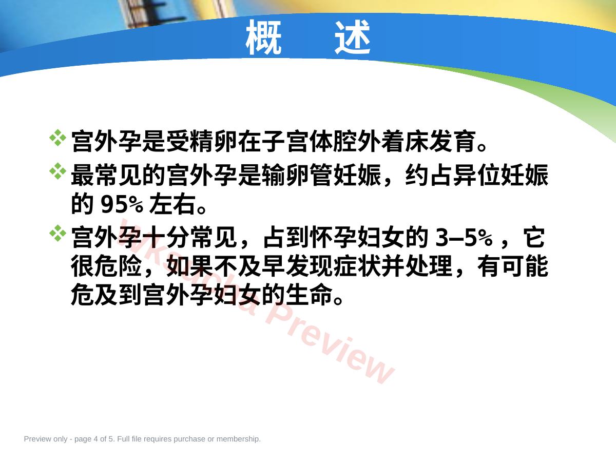 预览第 4 页