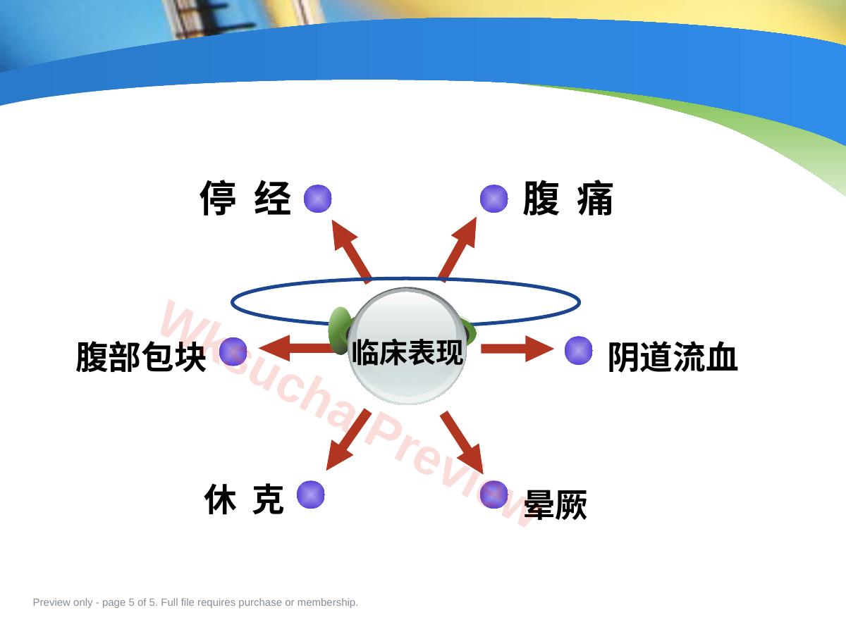 预览第 5 页