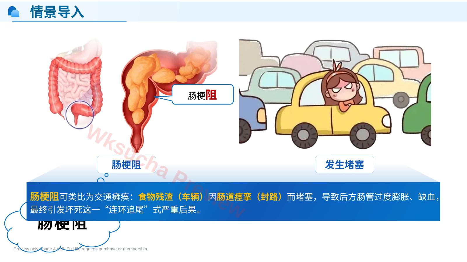 预览第 4 页