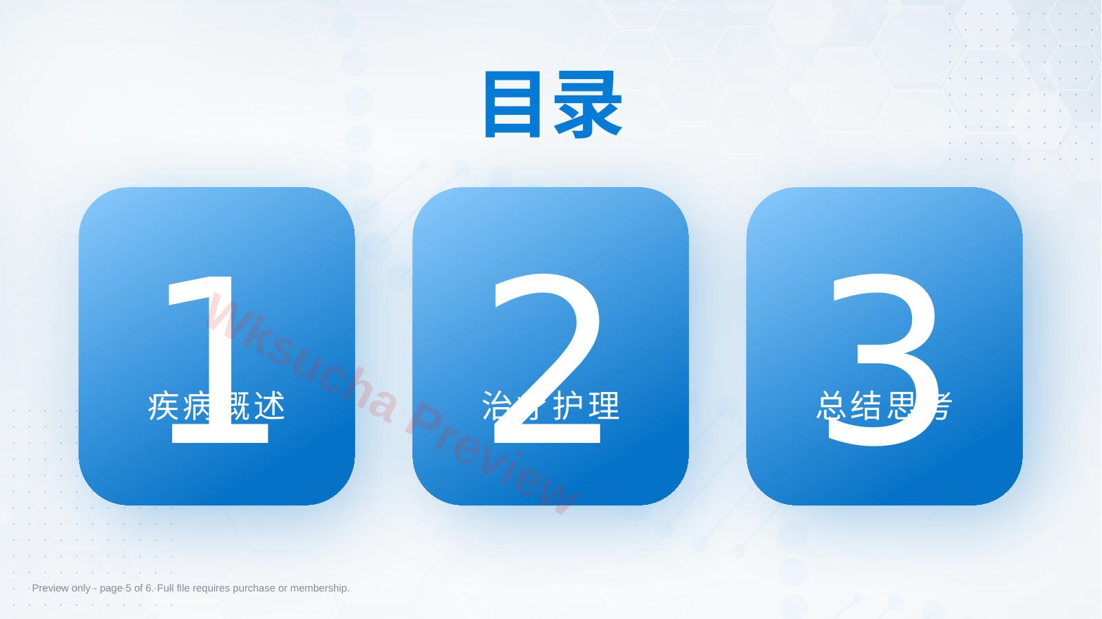 预览第 5 页