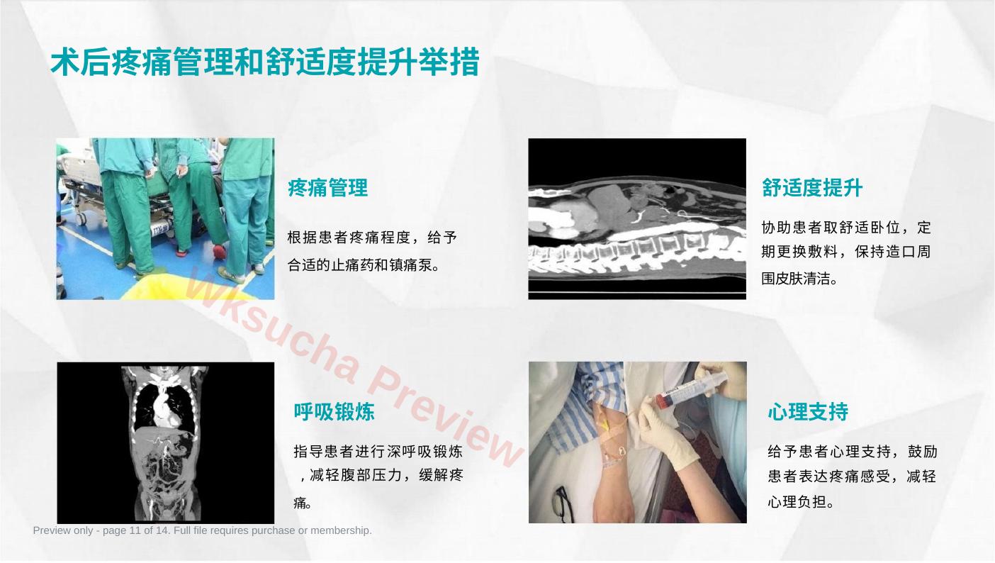 预览第 11 页