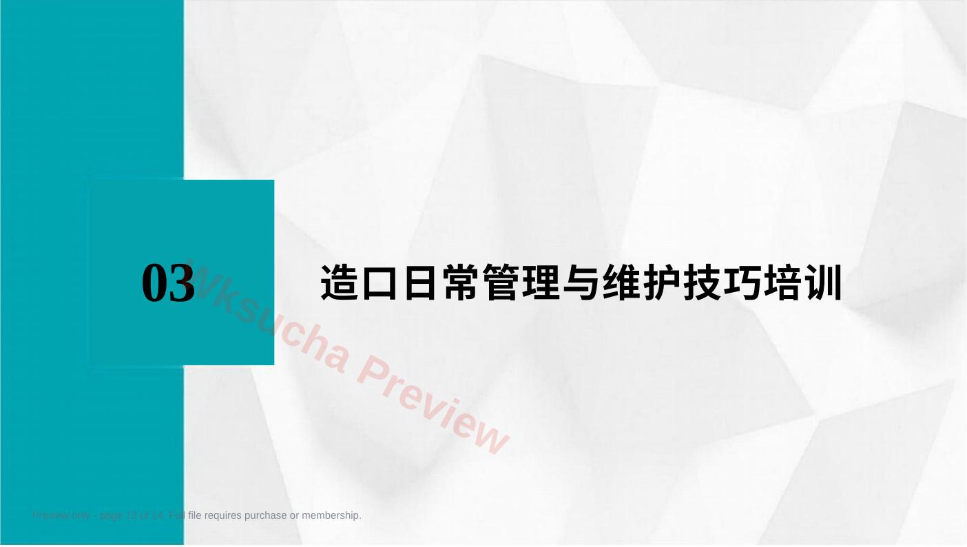 预览第 13 页