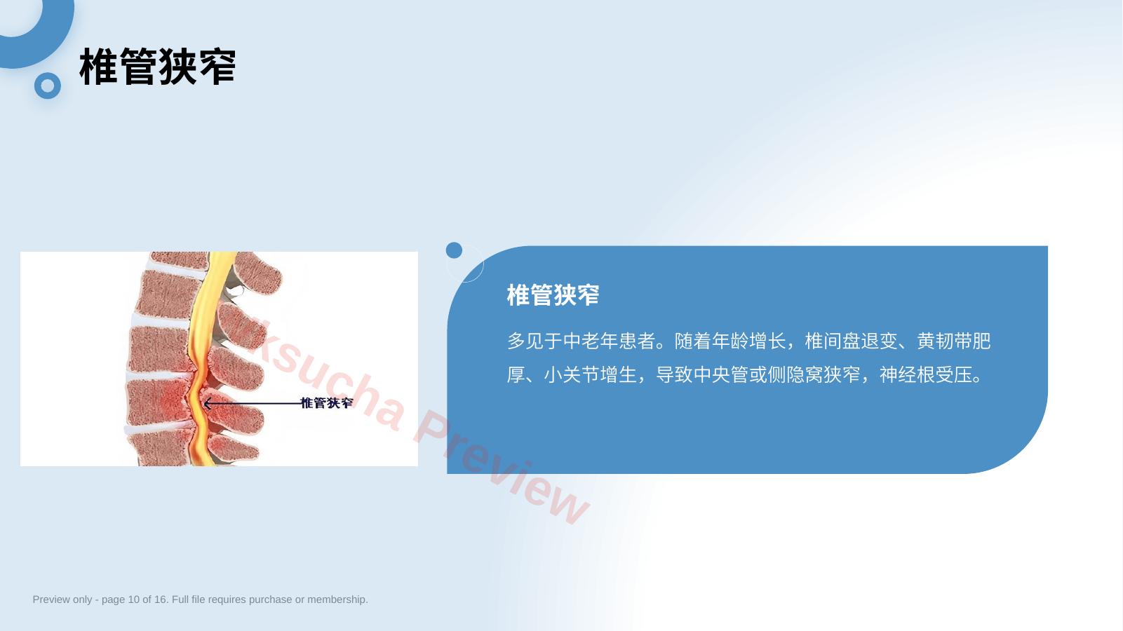 预览第 10 页