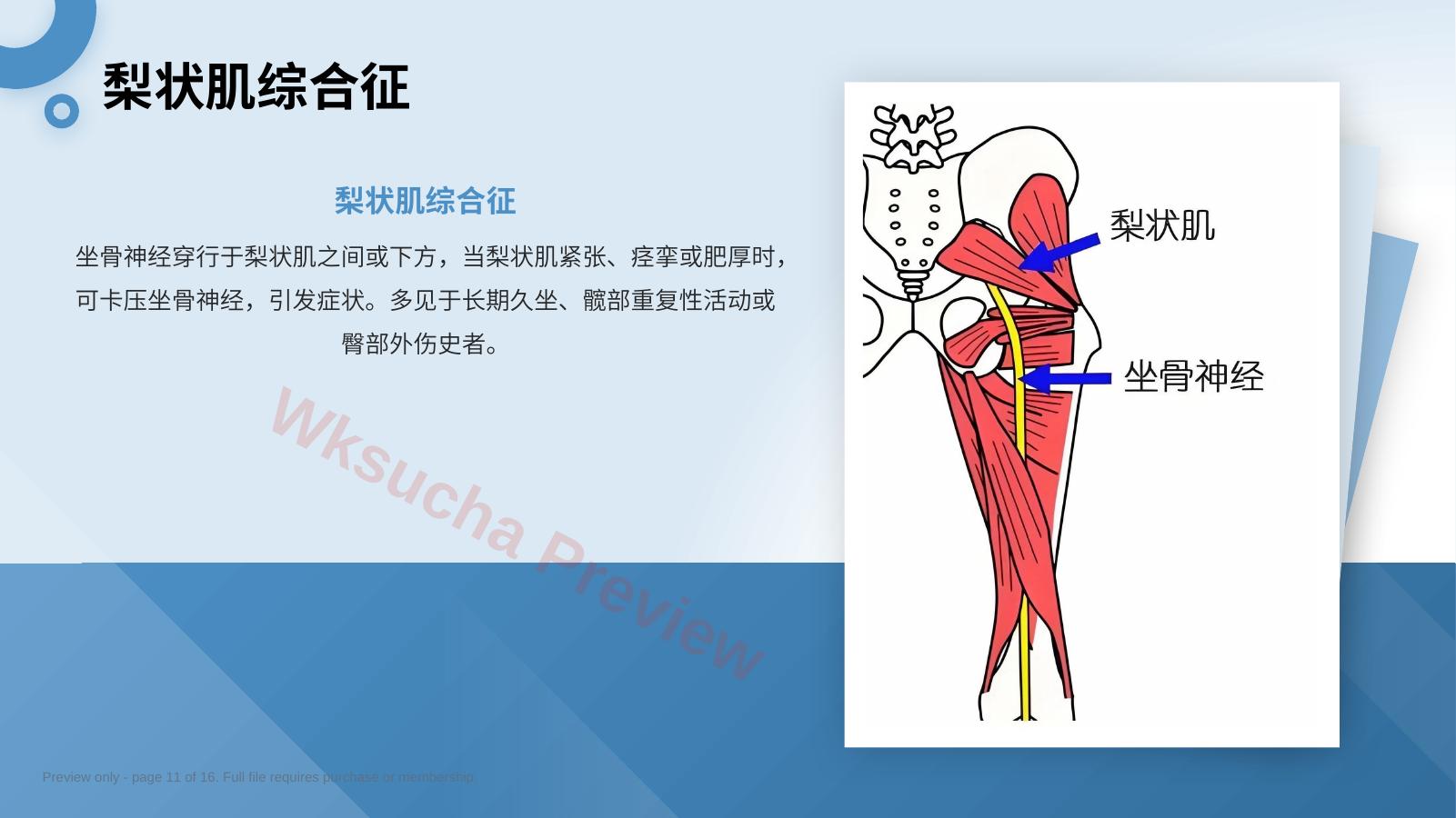 预览第 11 页
