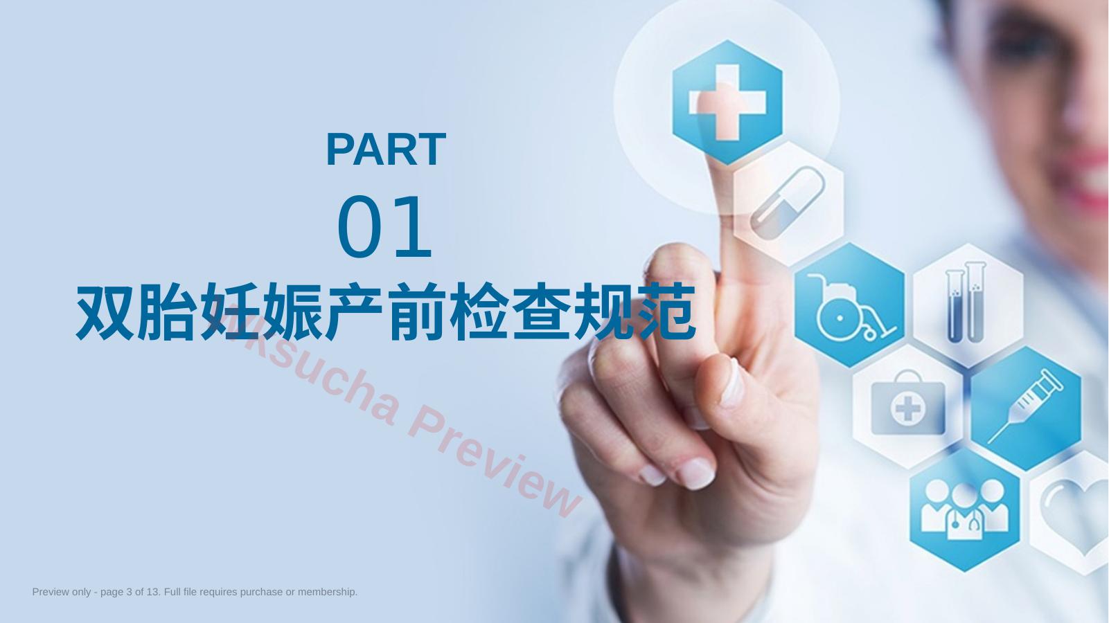 预览第 3 页