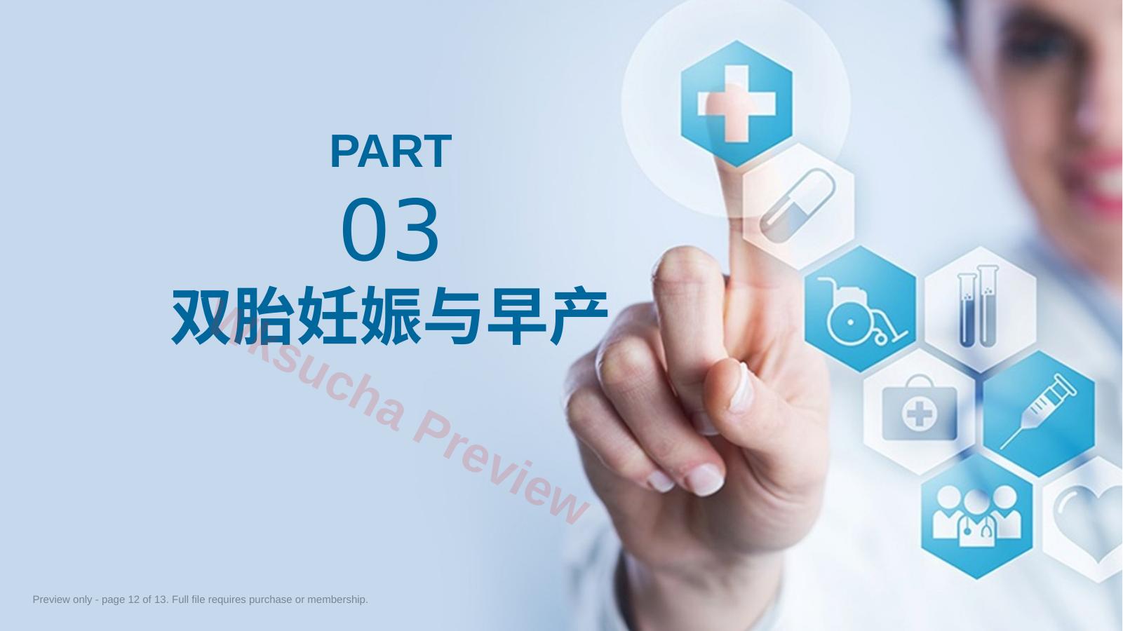 预览第 12 页