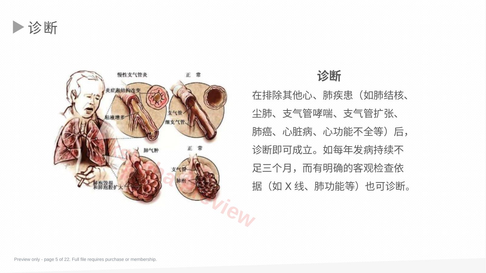 预览第 5 页