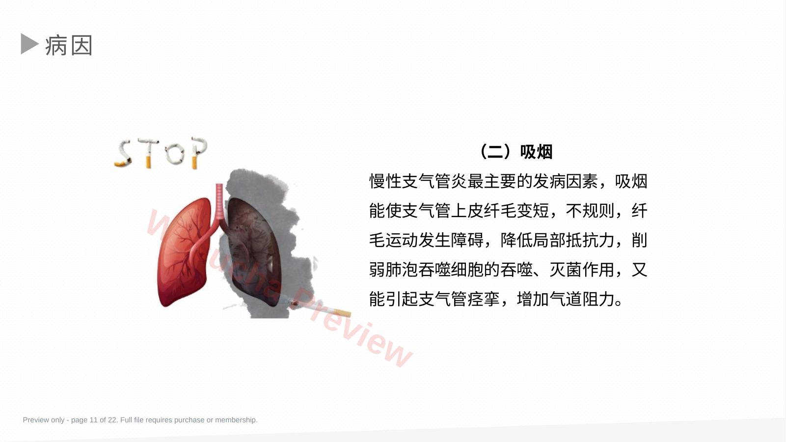 预览第 11 页