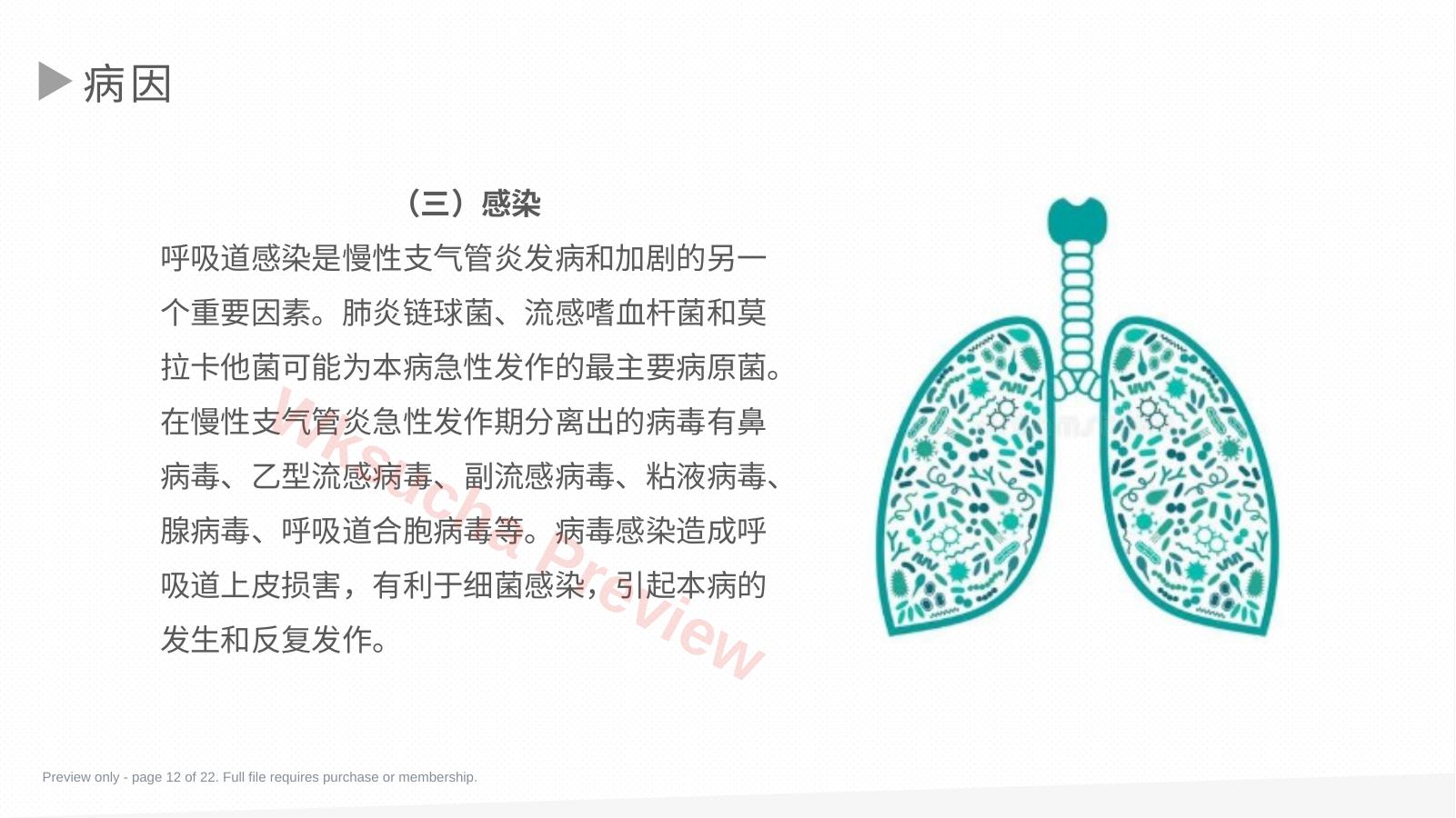 预览第 12 页