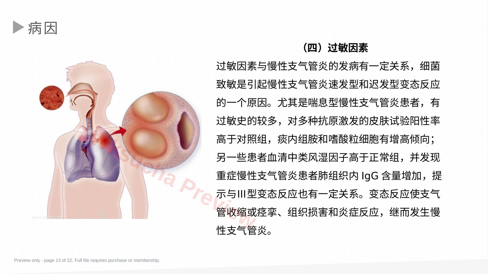 预览第 13 页
