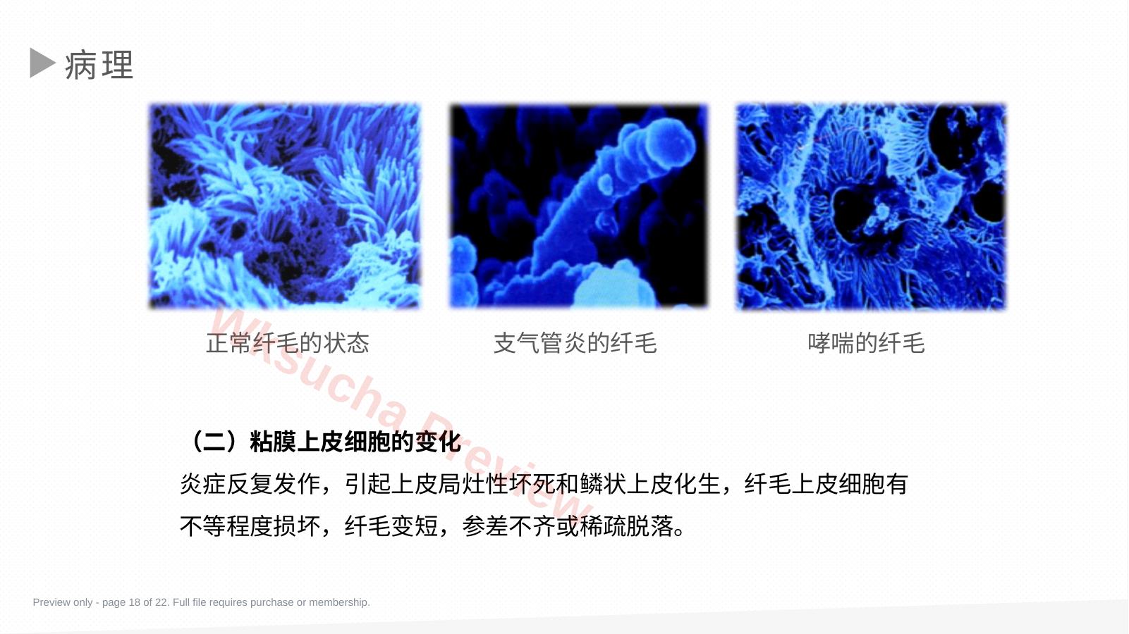 预览第 18 页
