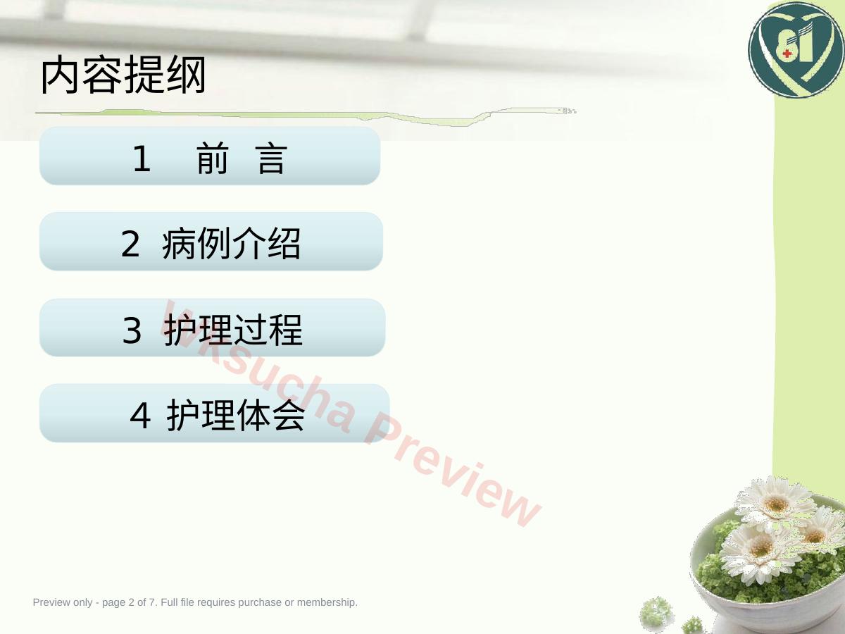 预览第 2 页