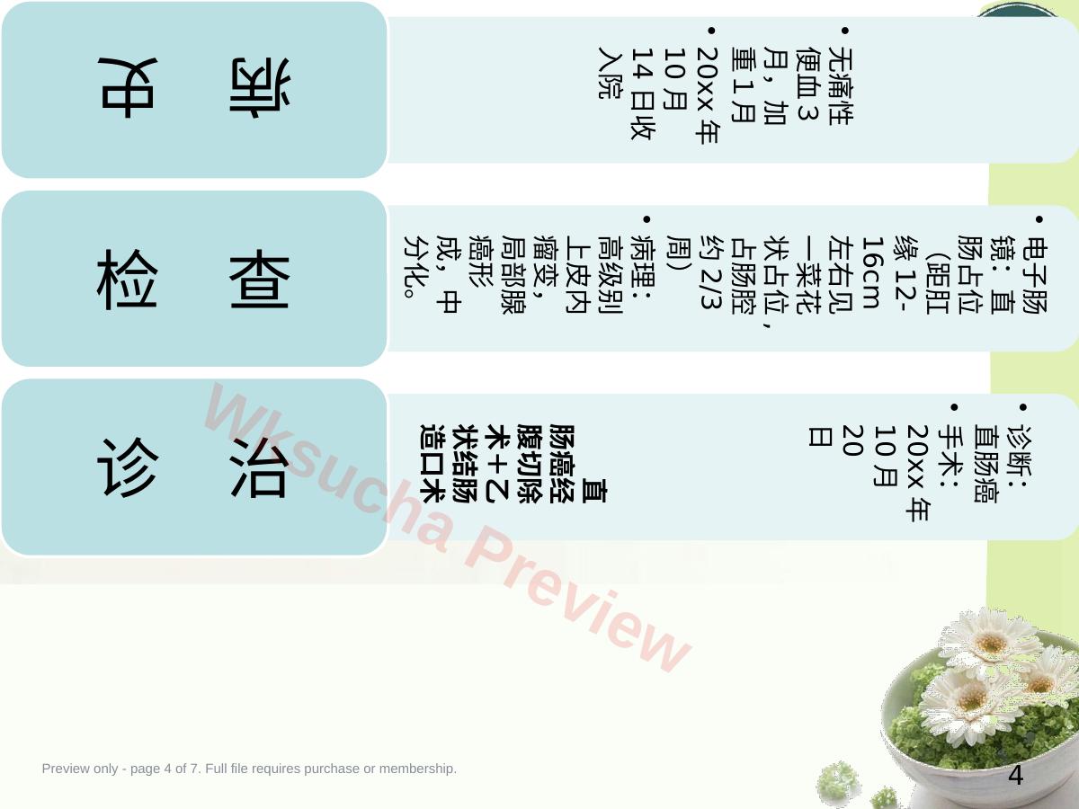 预览第 4 页