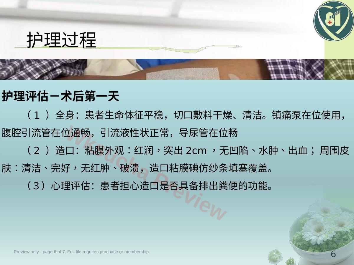预览第 6 页