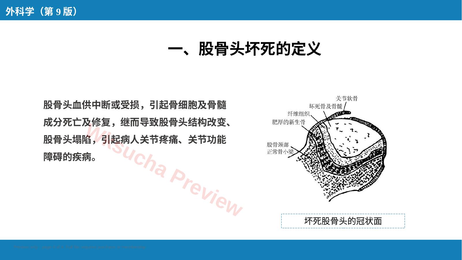 预览第 4 页