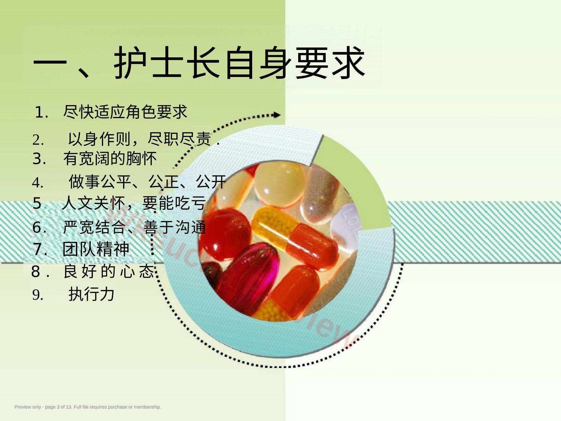 预览第 3 页