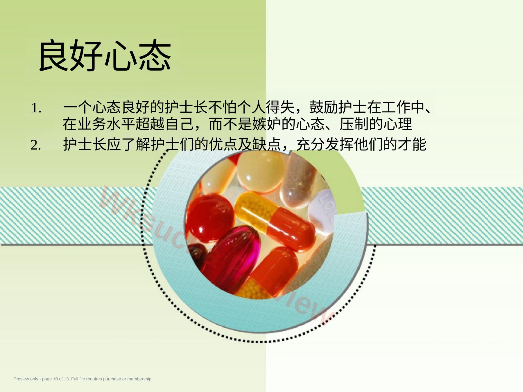 预览第 10 页