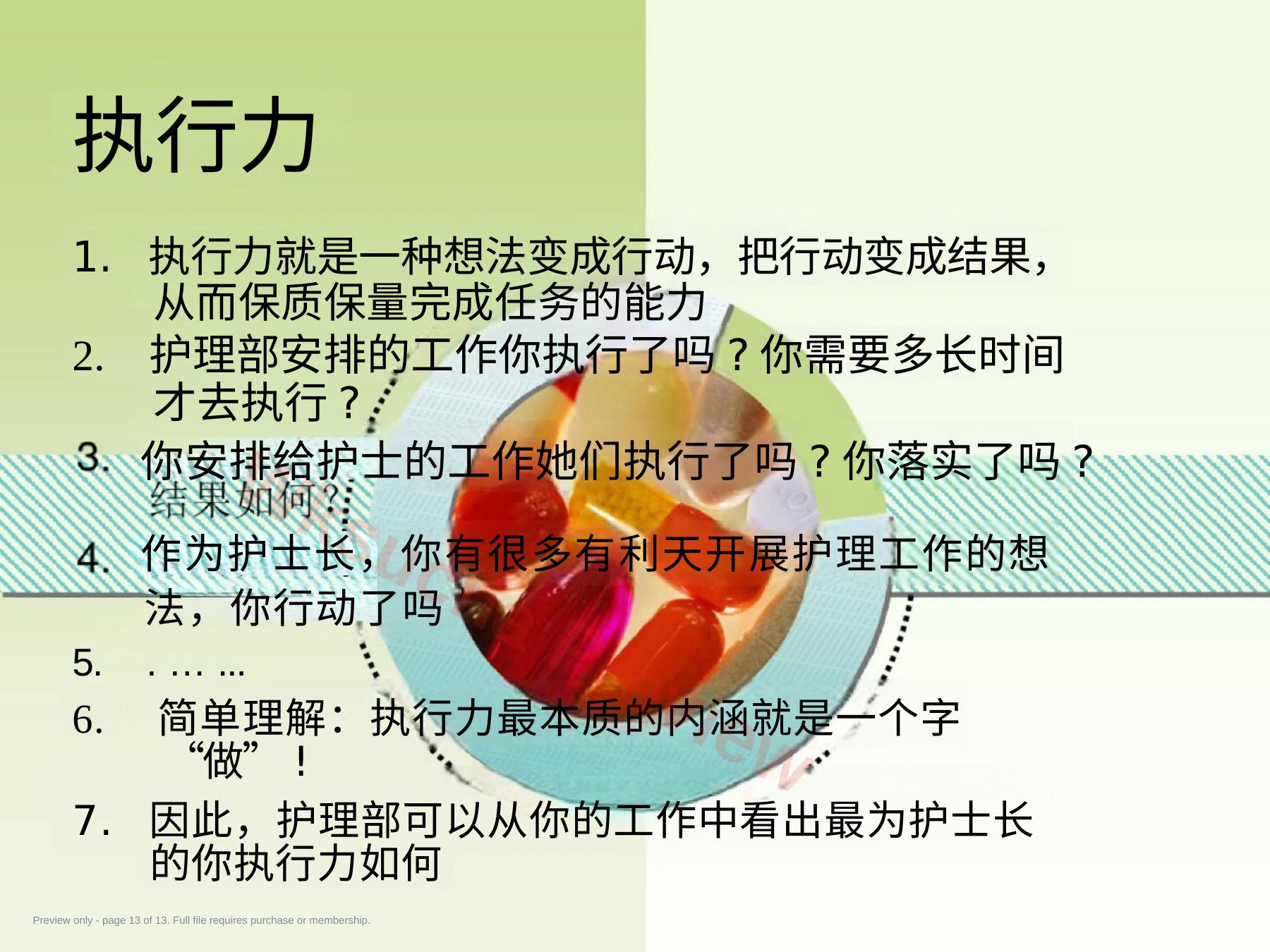 预览第 13 页