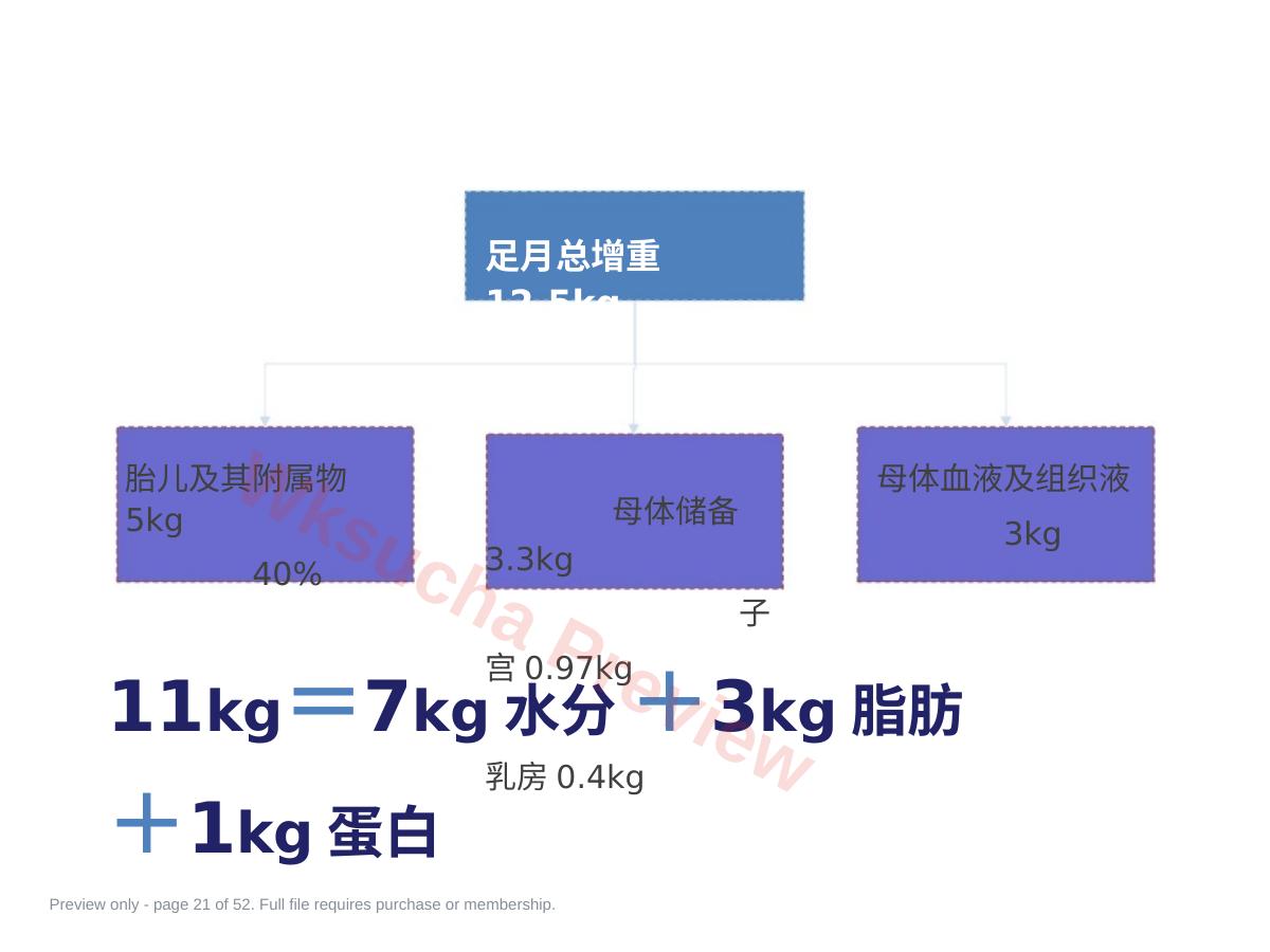预览第 21 页