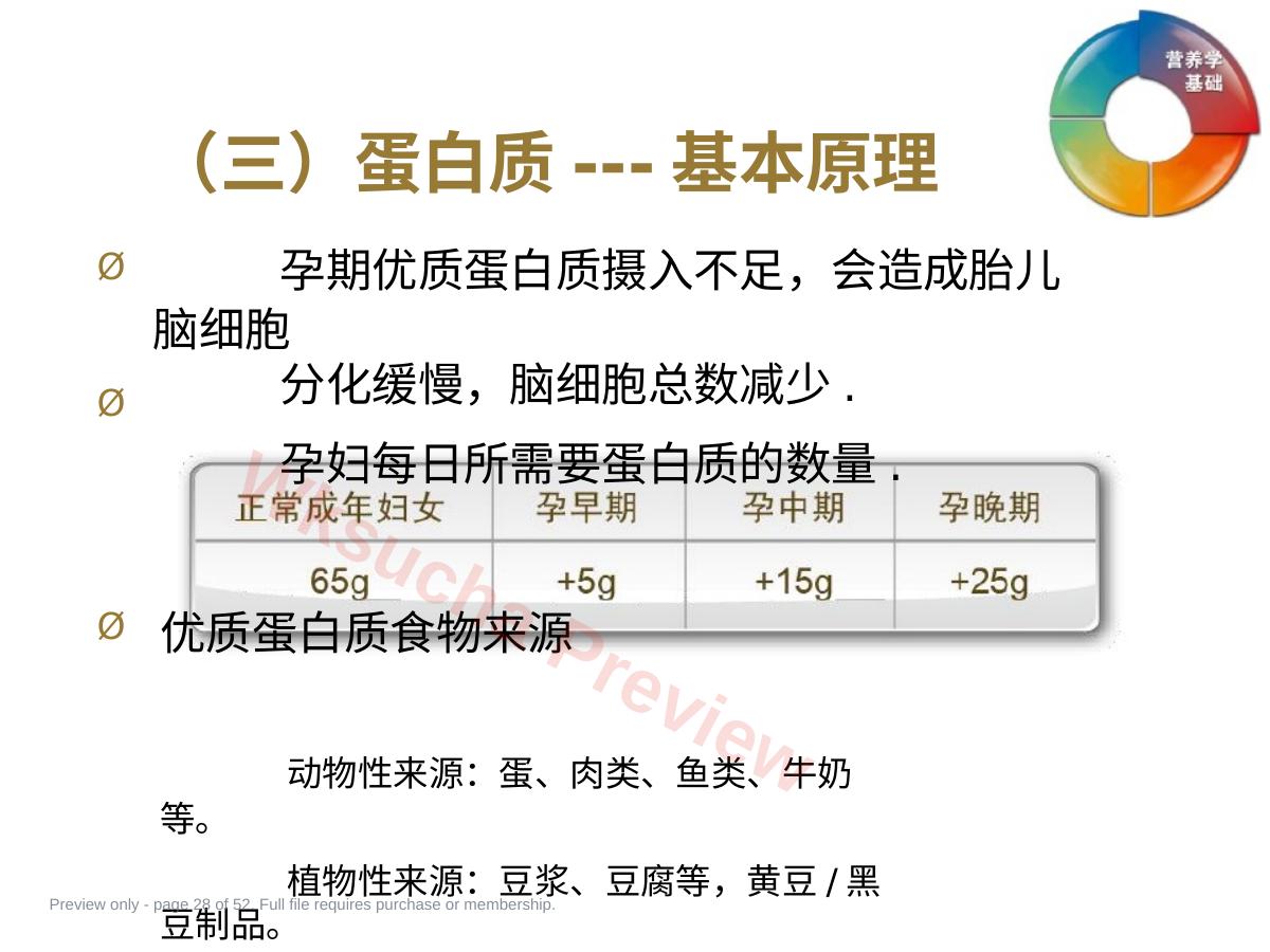 预览第 28 页