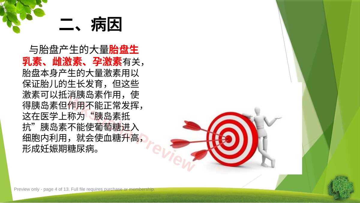 预览第 4 页