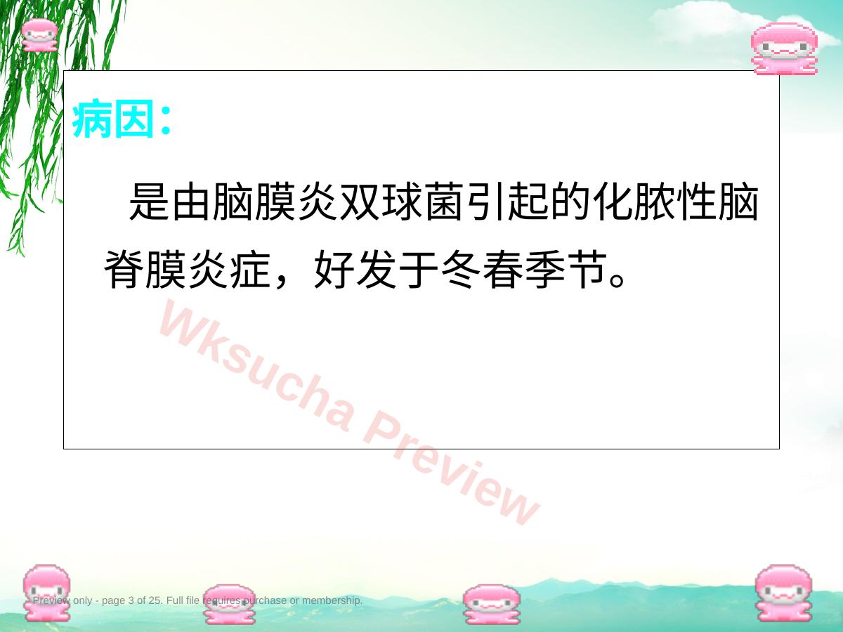 预览第 3 页