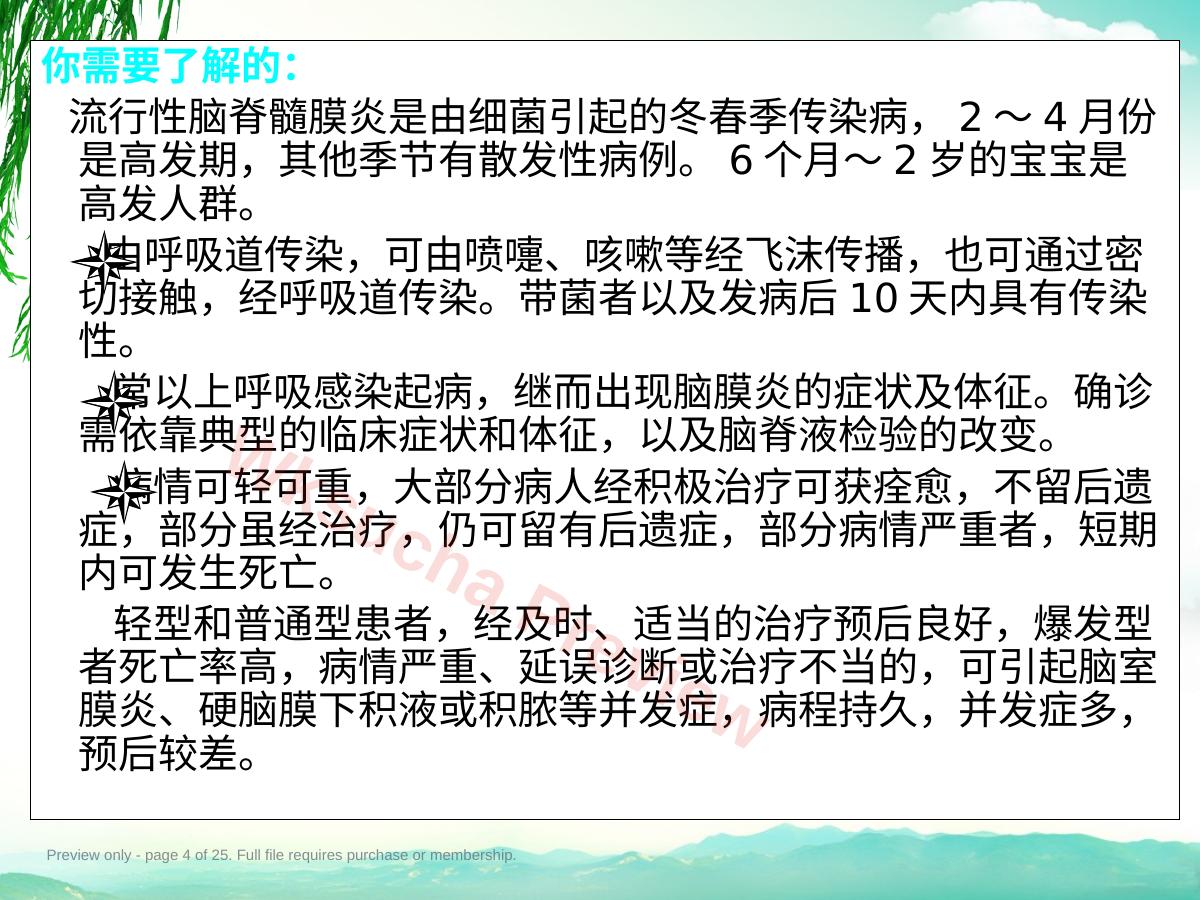 预览第 4 页