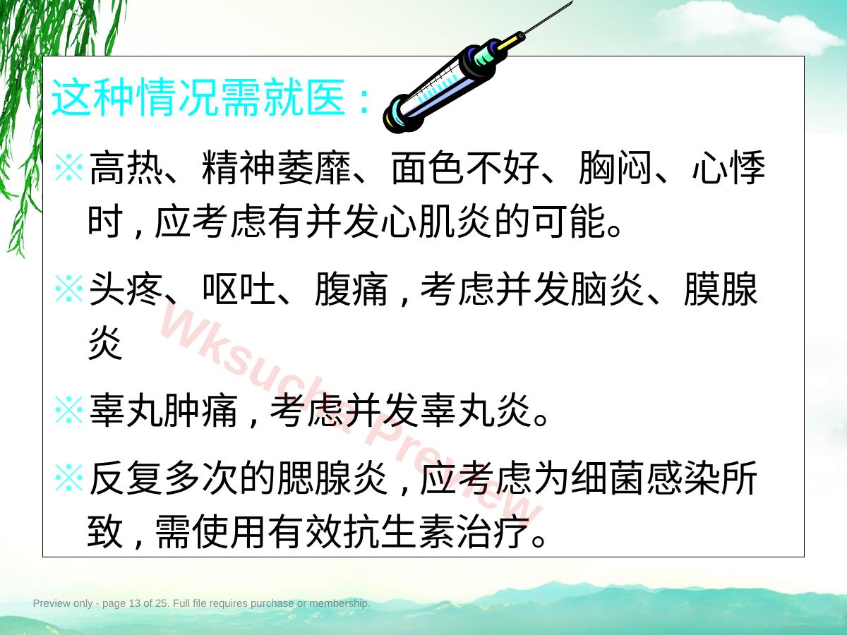 预览第 13 页