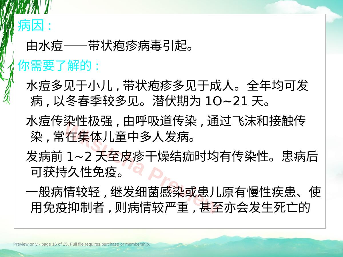 预览第 16 页