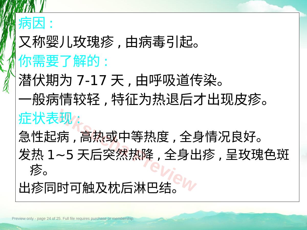 预览第 24 页