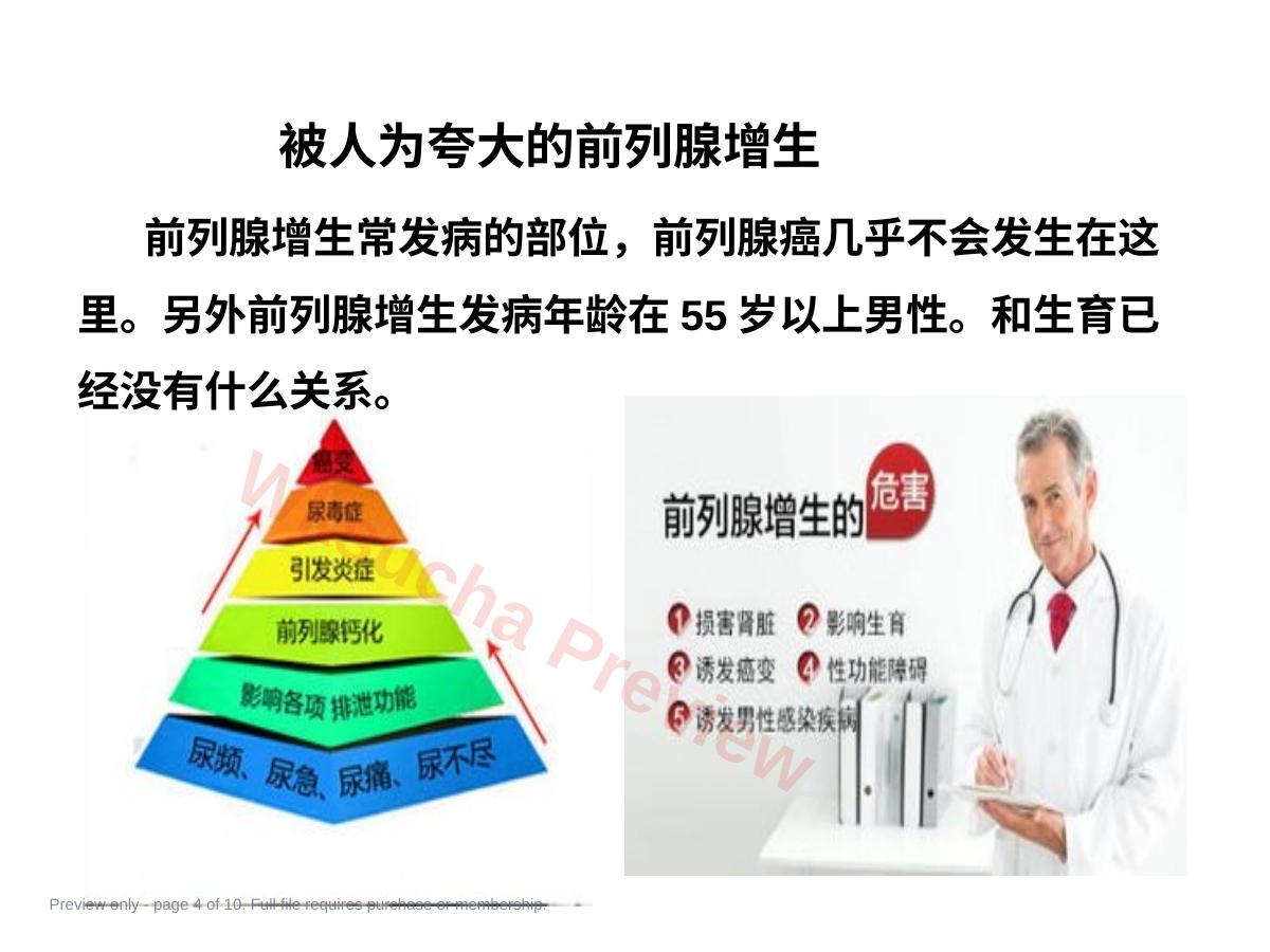 预览第 4 页