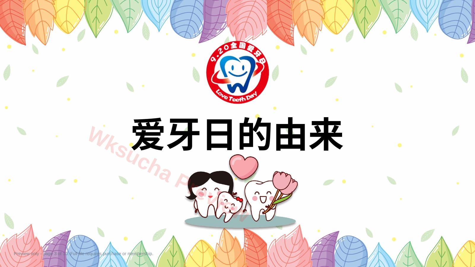 预览第 3 页