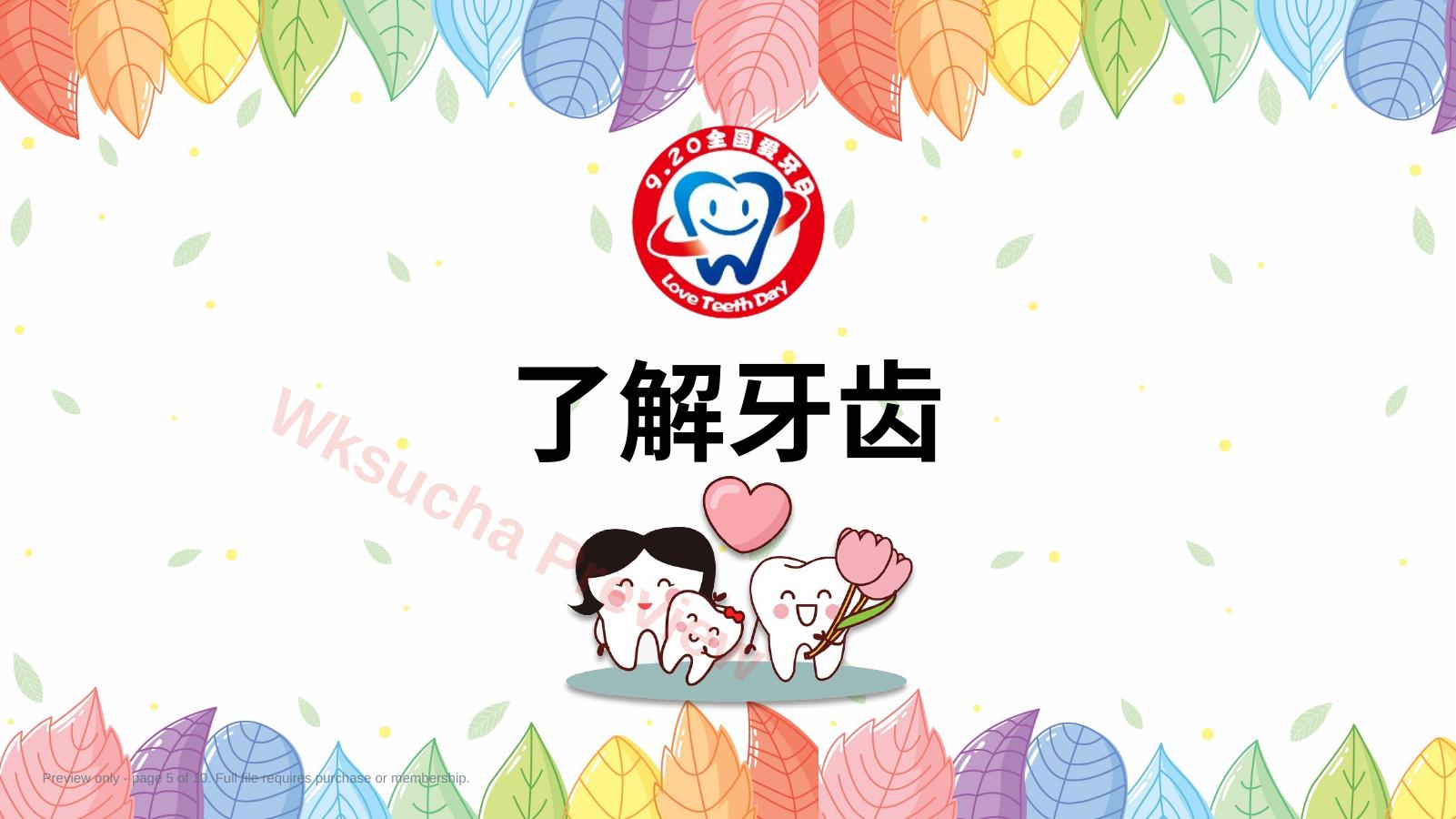 预览第 5 页