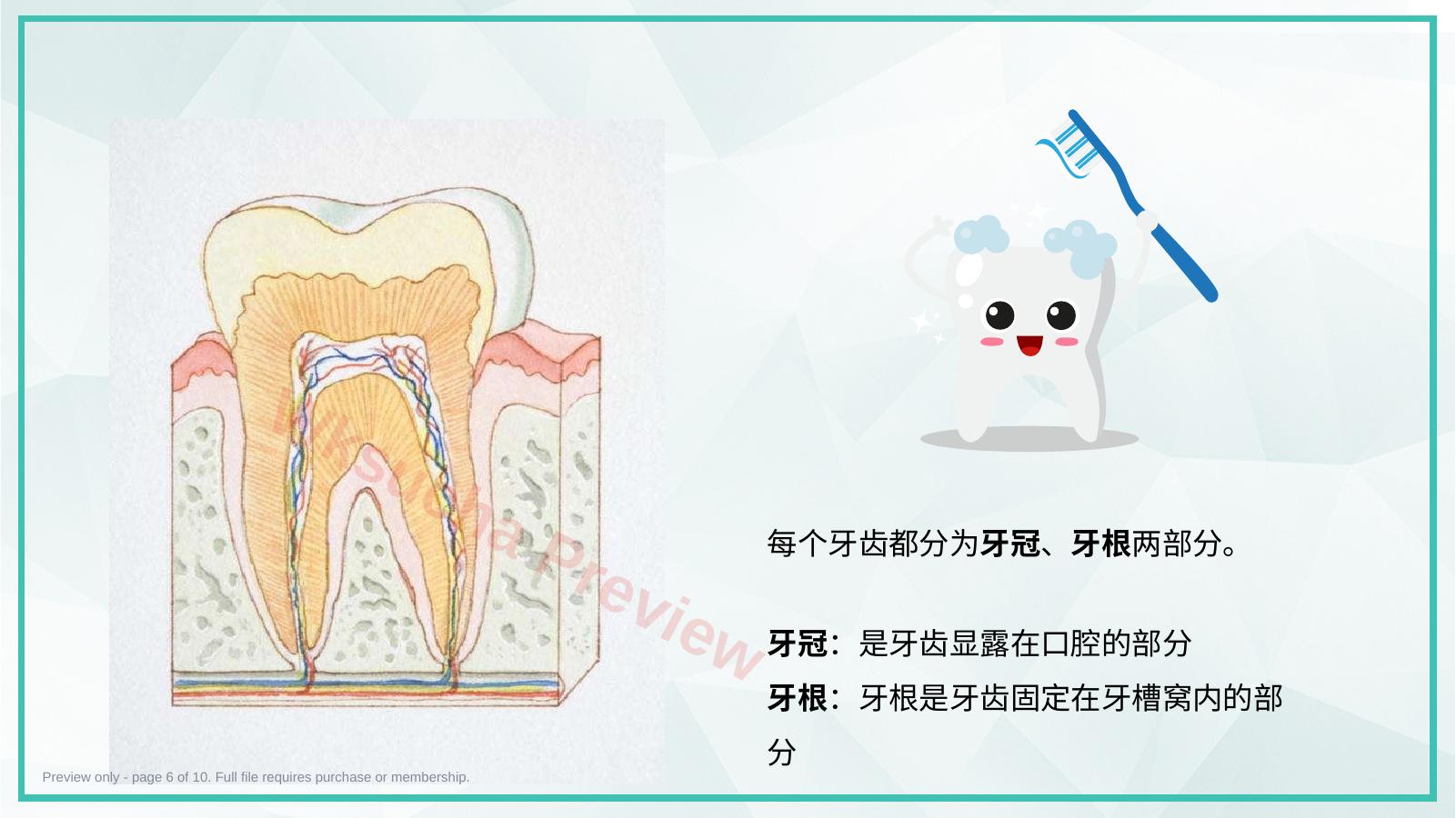 预览第 6 页