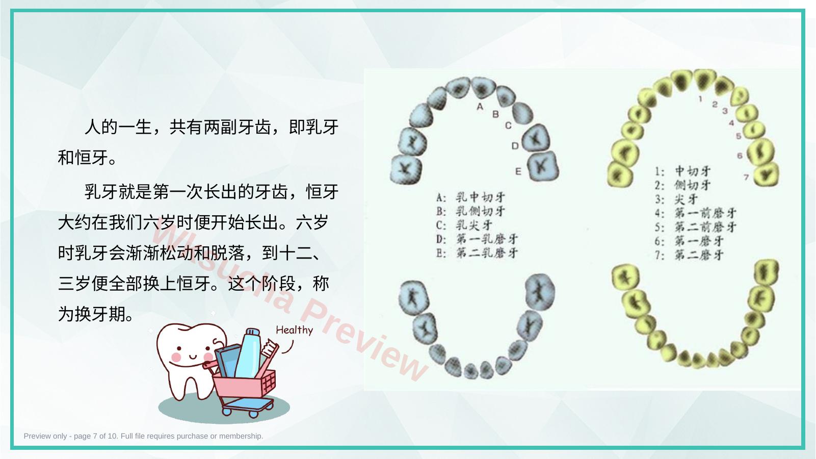 预览第 7 页