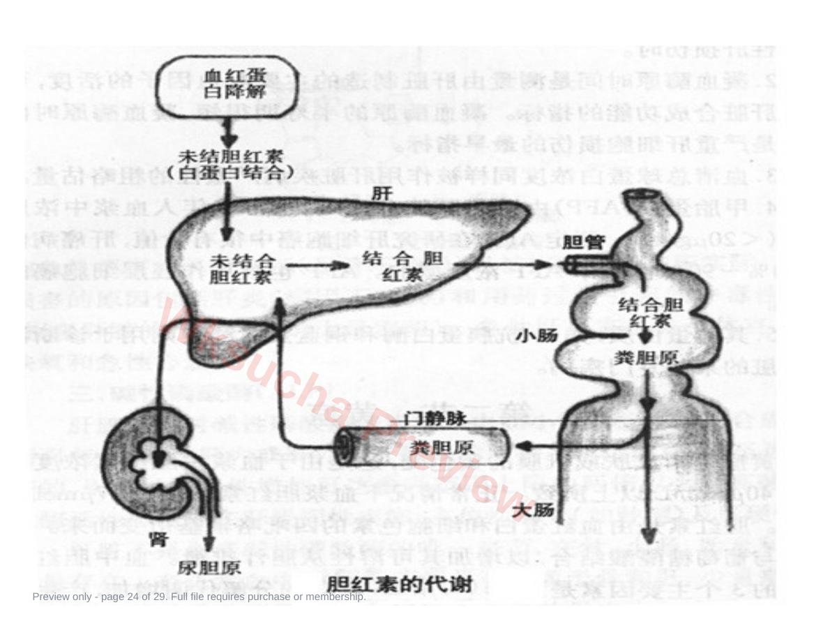 预览第 24 页