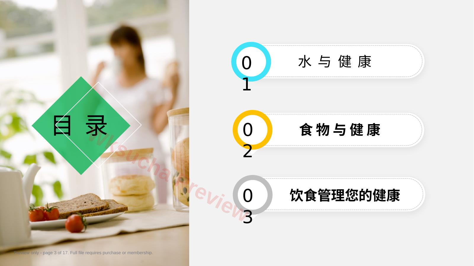 预览第 3 页