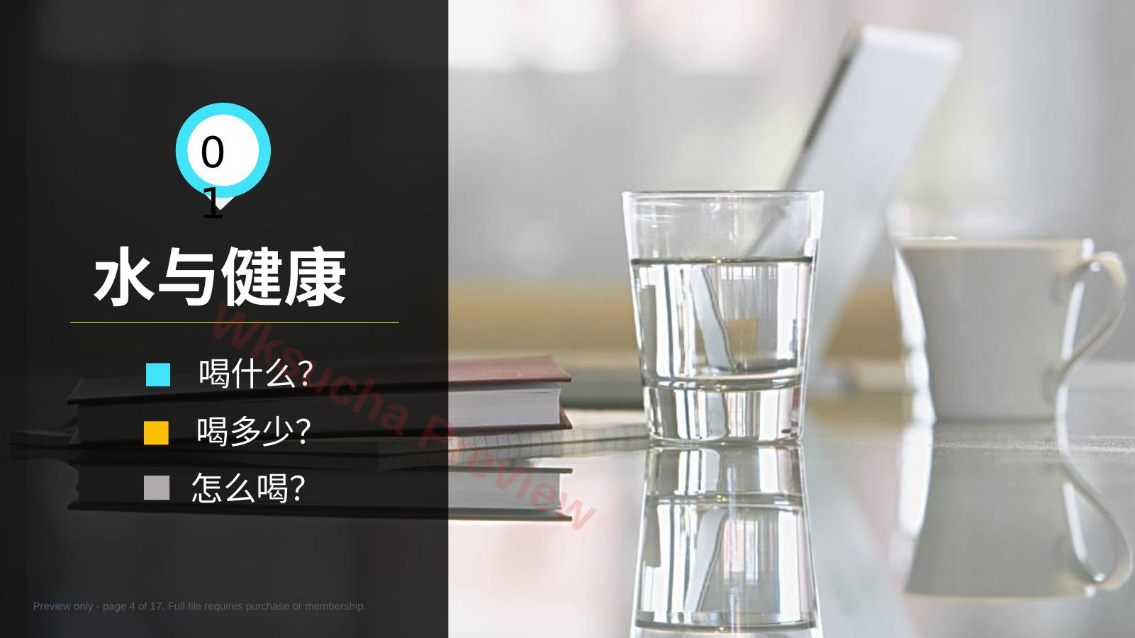 预览第 4 页
