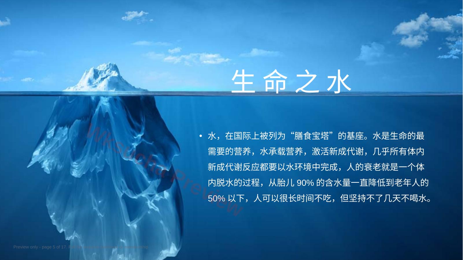 预览第 5 页