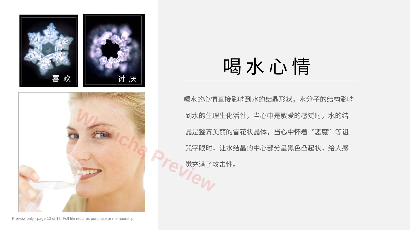 预览第 10 页