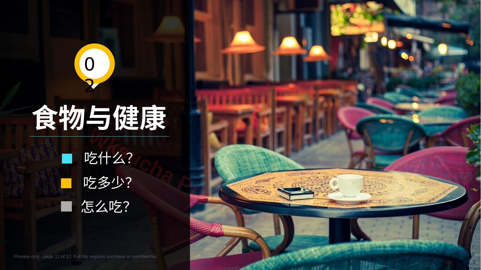 预览第 11 页