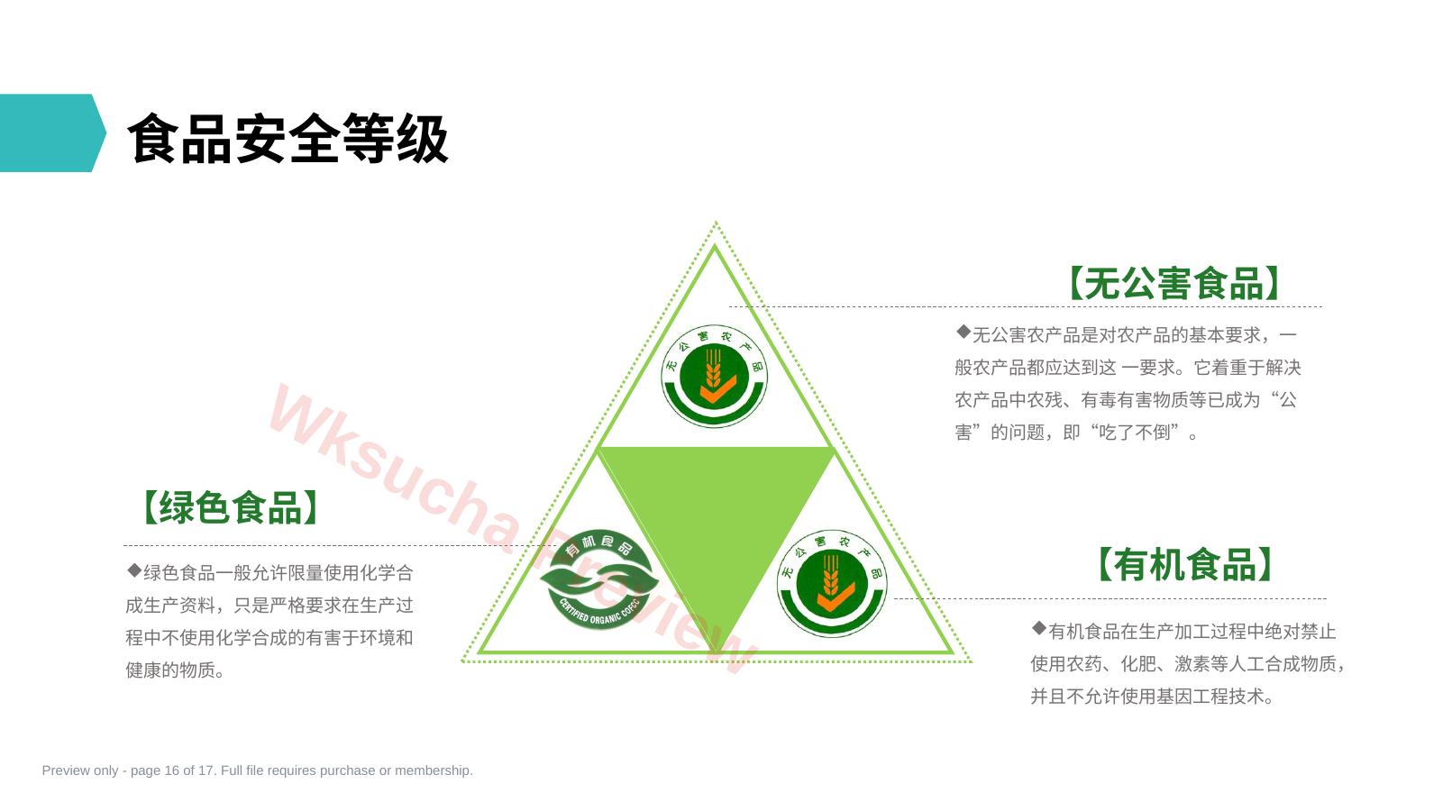 预览第 16 页