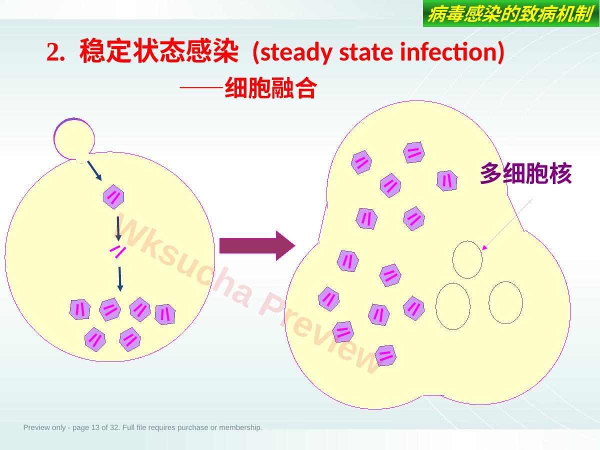 预览第 13 页