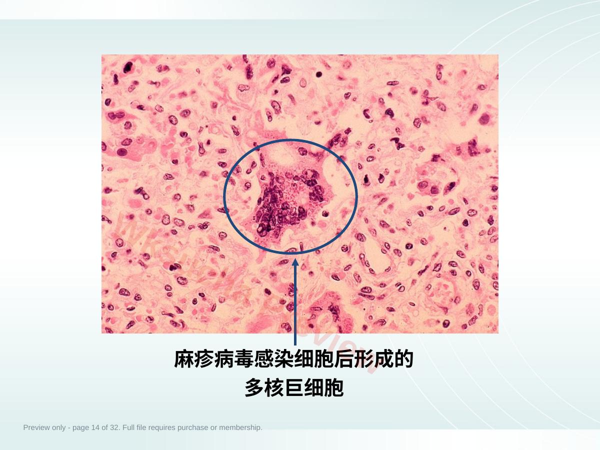 预览第 14 页