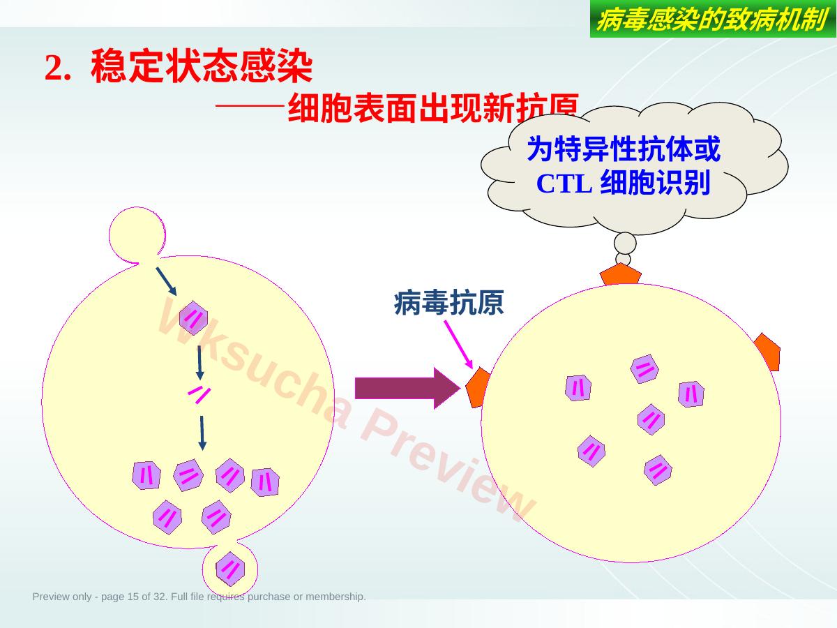 预览第 15 页