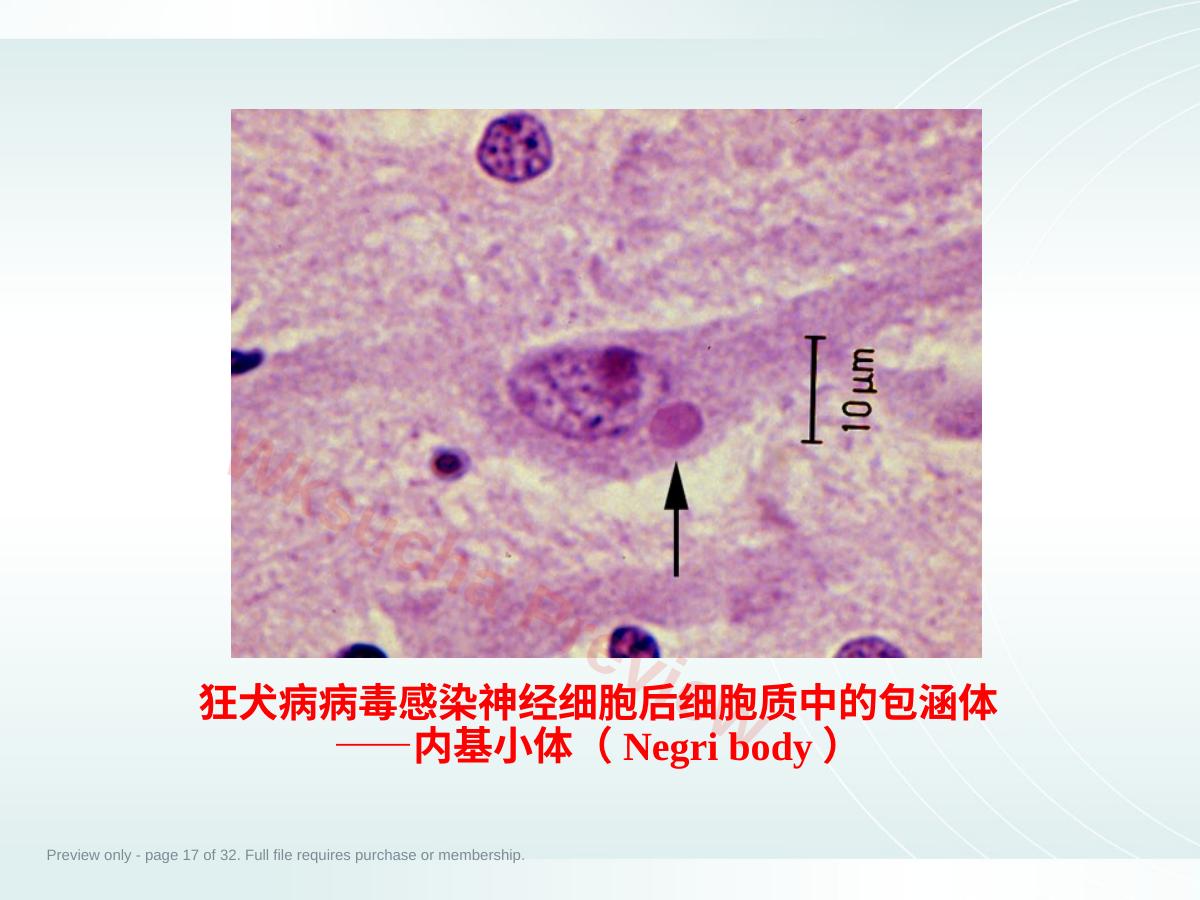 预览第 17 页